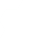 Optiune Produs
